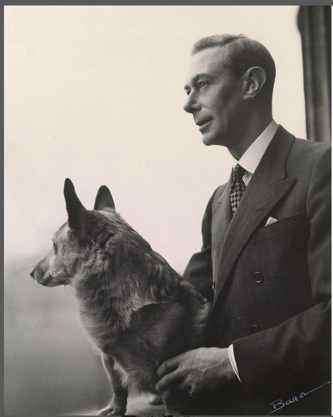 Just Sharing  #KingGeorgeVI
The first corgis joined the Royal Family in 1933 when the Duke of York, later King George VI, acquired two for his daughters Princess Elizabeth and Princess Margaret. Here, King George VI poses with one of their corgis, in a photo taken in 1948