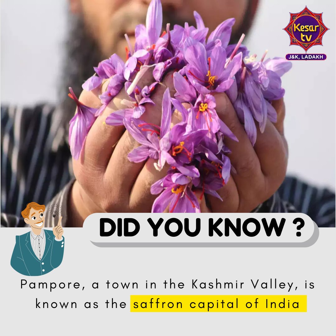 Did you know?
Pampore, a town in the Kashmir Valley, is known as the saffron capital of India.

#saffronindia #saffron #jammukashmir #didyouknow