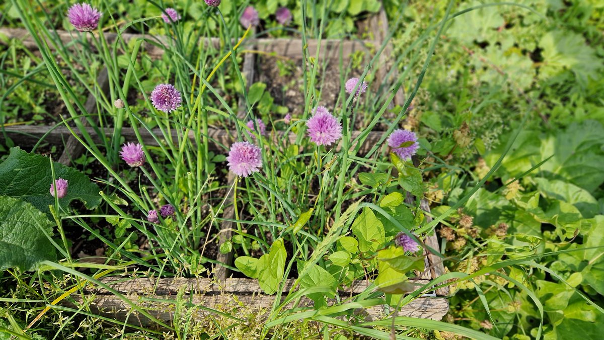 Stichting Dakpark tweet media