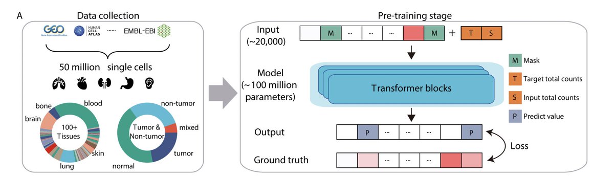 Mo Lotfollahi tweet media