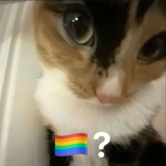 #Pride2023
