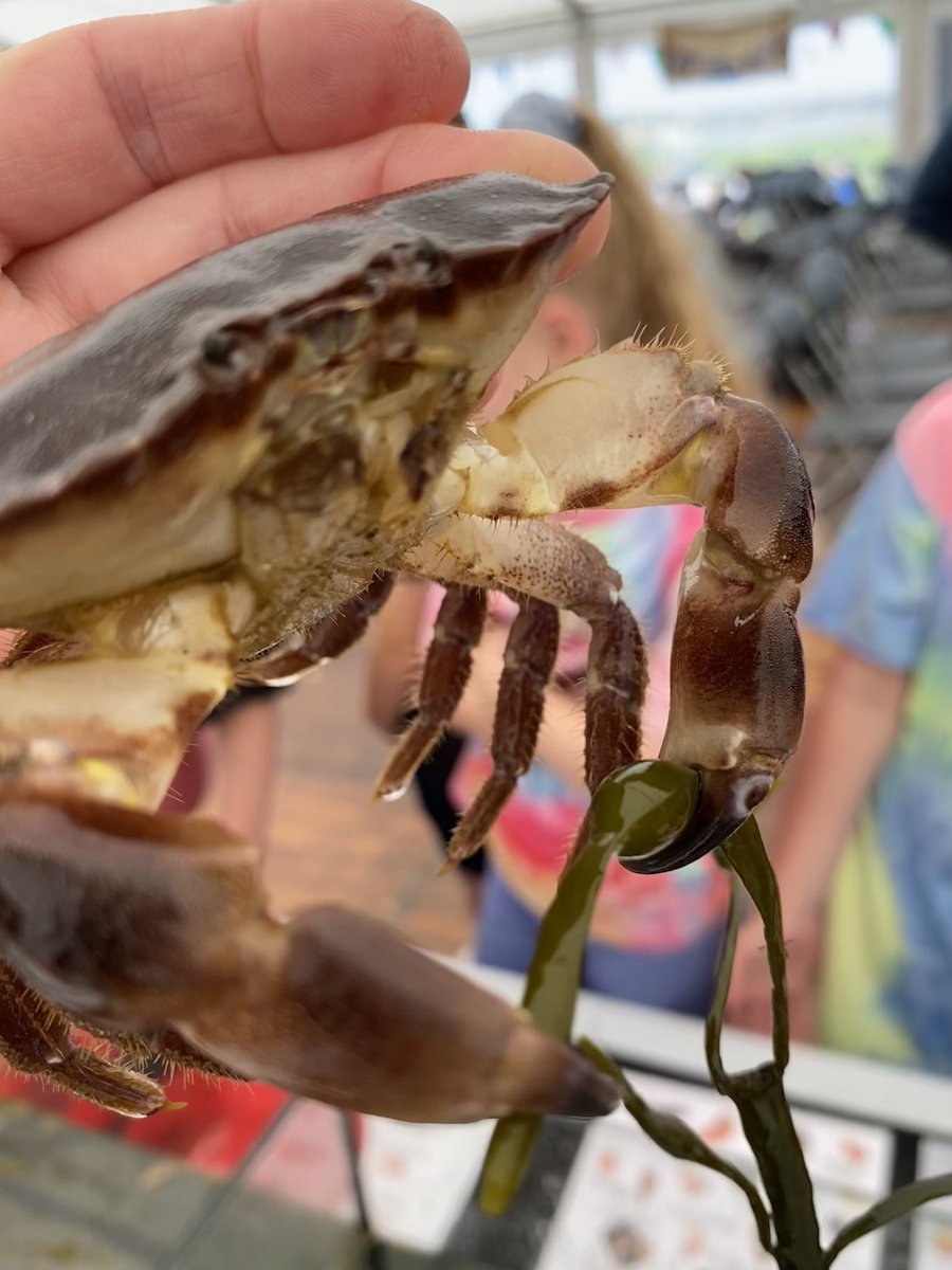 BrunetLaing's tweet photo. Meaningful partnerships for learning to celebrate @WorldOceansDay in sunny Maidens' Harbour with our wonderful pupils from North Carrick and dedicated educators for sustainability. 
#LfS #SDGs #OutdoorLearning #TransformativeTeachingAndLearning https://t.co/0NEbxbMiZO