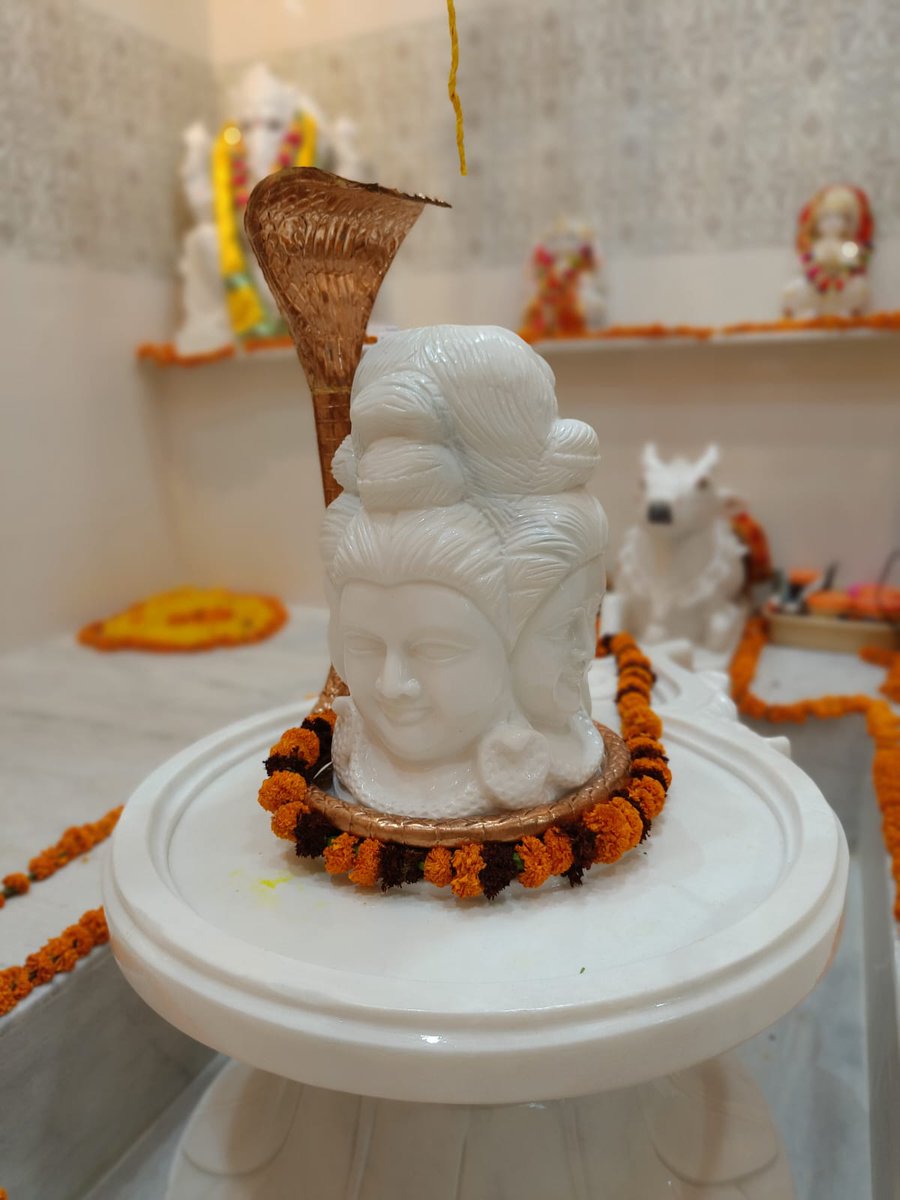 Last year, we decided to construct a temple in memory of our grandparents who passed away during COVID. The auspicious day finally arrived & praan pratishtha of Chandreshwar Mahadev Mandir, Lucknow was organised.

It has a unique panchmukhi shivlingam, a type of mukhalingam, that…