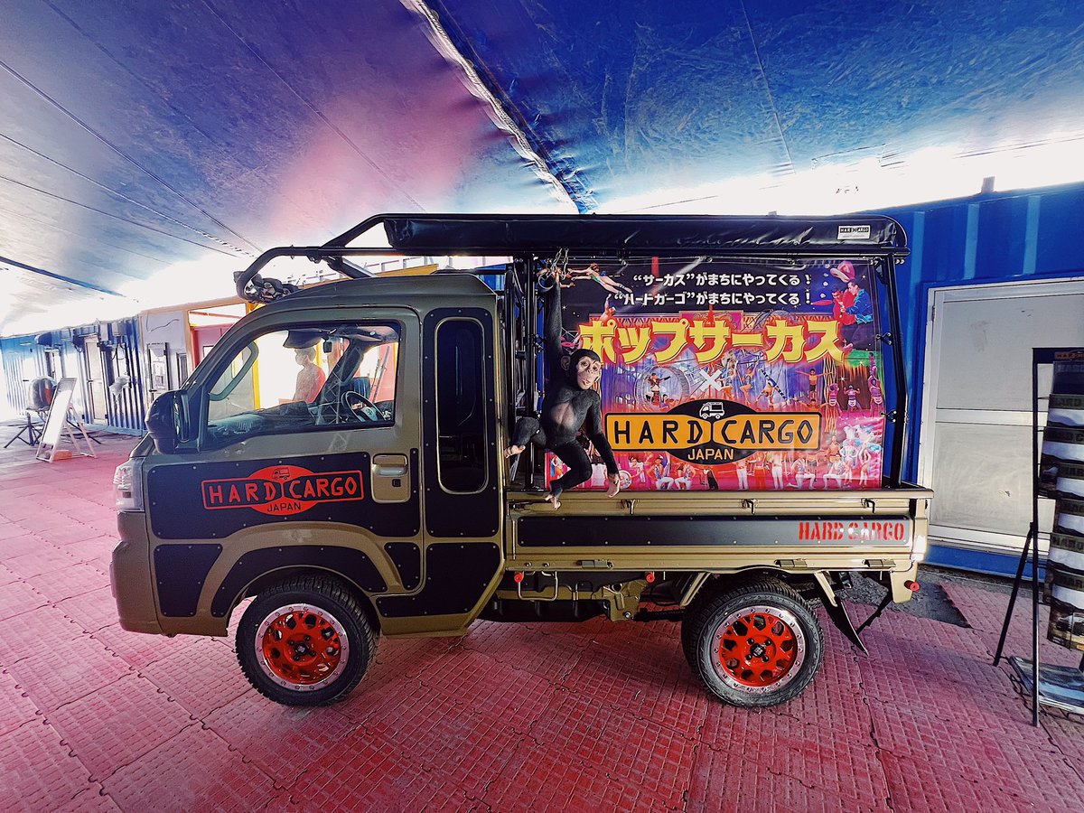 Rayna (@t7k017) / Posts / X