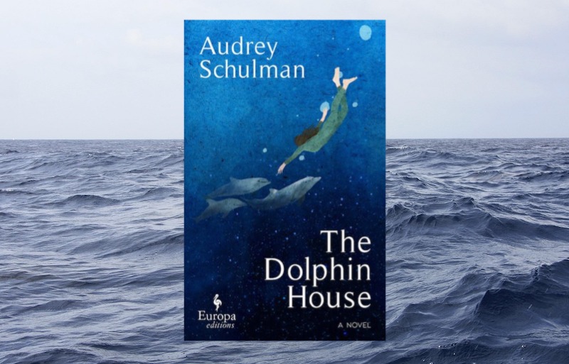 CathyRy's tweet photo. The Dolphin House by Audrey Schulman #LiteraryFiction #BasedonFact #1960s

#TuesdayBookBlog 

https://t.co/gWgVlNINTb https://t.co/OJdsMm1Kch
