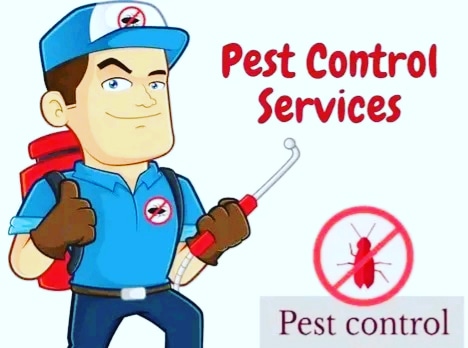 Reach out today for quality and guaranteed pest control services,  Call/text/WhatsApp ☎️+254769545458

Declan Rice Ciku Muiruri #FichaUchi Which Kenyans Thika Road Bolt Arsenal Dj Brownskin