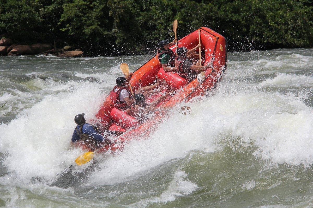 AGSafaris's tweet photo. Conquer the Mighty Nile in Jinja! 🌊🚣‍♀️

Experience the thrill of white water rafting in Uganda's adventure capital. Unforgettable rapids, stunning landscapes, and top-notch safety. Book now 🌍🌟

#AGSafaris #WhiteWaterRafting #Jinja 

🌐 https://t.co/Po6SEDM1o3 https://t.co/ioz6fr6ACA
