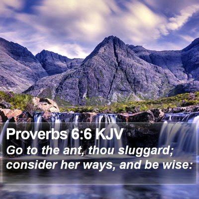 kingdomgracenet's tweet photo. DAILY PROVERBS
Proverbs 6:6
DEDICATION TO WORK AND ITS REWARD
• Rebekah found a husband
• Jacob became wealthy
• Ruth become an ancestor of Christ
• Jeroboam became king
• David became the shepherd of Israel
• Dorcas experienced a great miracle
#Dailyproverbs https://t.co/wsU5L5wvpG