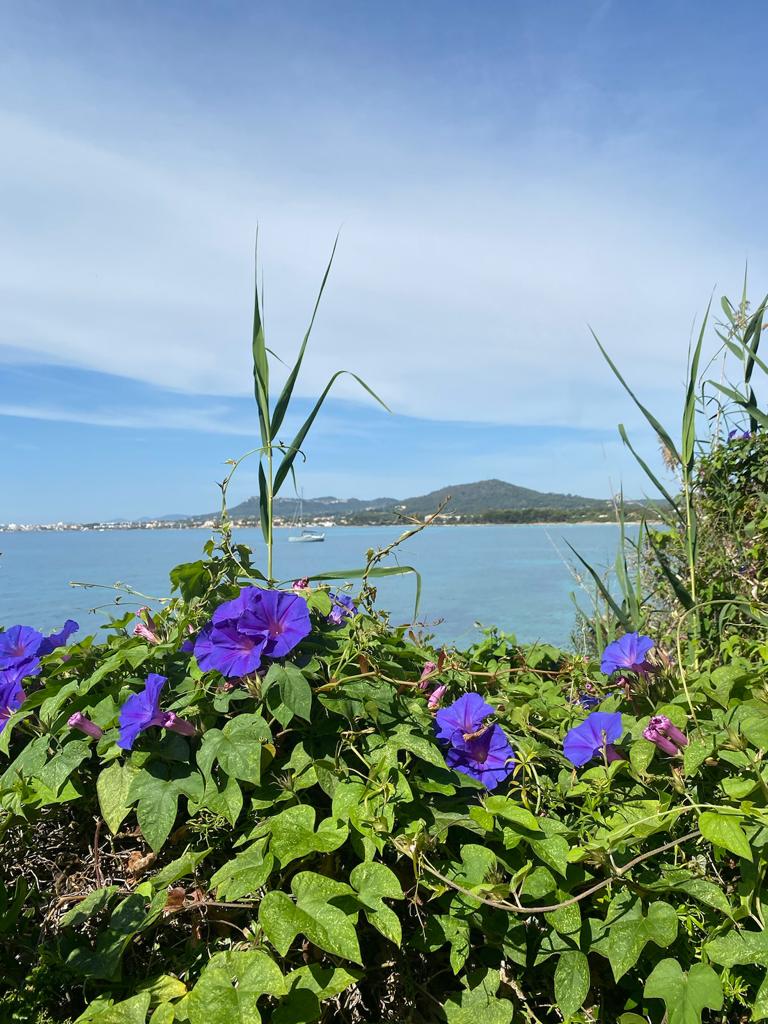 Good morning 🌅🌸☀️🏝️
#costadelospinos
#bestspots
#holidays 
#holidaydestinations