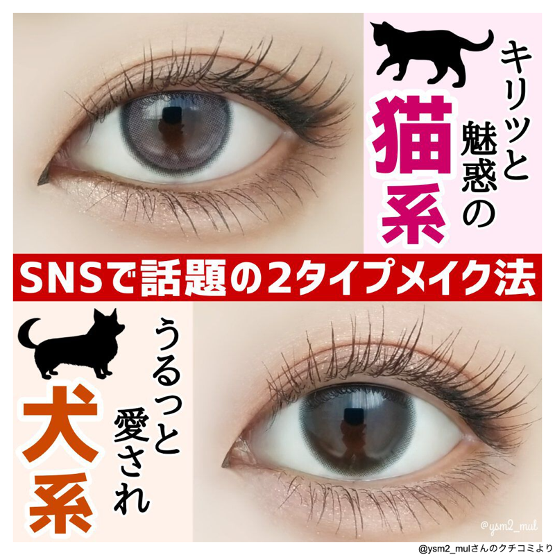 lipsjp's tweet photo. ＼なりたい目元はどっち🐱🐶？？／

【猫系アイメイク🐱】

⏩アイシャドウポイント
・上まぶたは目頭をめっちゃ濃くして目力UPと目尻の跳ね上げ
・下まぶたは目尻太めの涙袋

つづきはこちら
https://t.co/B85LIWaEwn

この後すぐの投稿も見てね！（1/2） https://t.co/nqvow7njCt