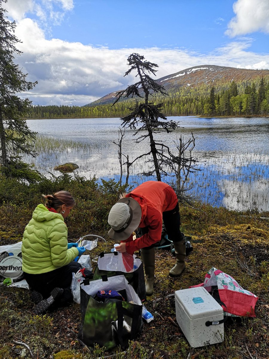 Such an amazing start for the field season 2023 at #PallasEcosystemSuperSite! First samples collected for our #Arctic #Carbon #Water Interactions (ACWI) -project funded by <a href="/SuomenAkatemia/">Suomen Akatemia | Research Council of Finland</a> 💕🇫🇮 <a href="/KoneenSaatio/">Koneen Säätiö</a> <a href="/UniOulu/">University of Oulu</a> @FMIclimate <a href="/helsinkiuni/">University of Helsinki</a> <a href="/WaterUniOulu/">Water UniOulu</a>