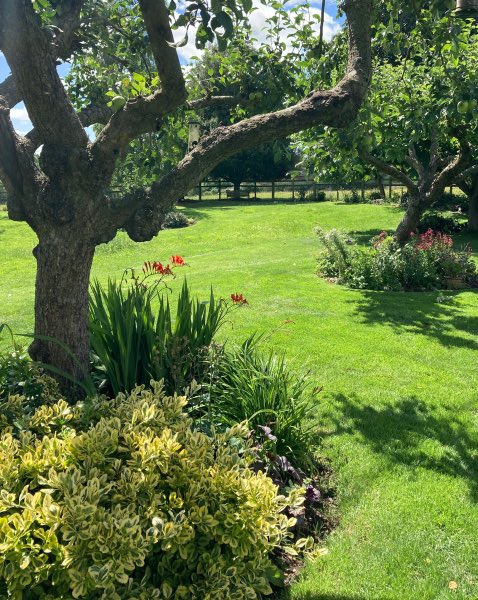 There is another chance to visit Khususi in Buckworth this weekend, a rural 1/2 acre garden with countryside views and wildlife friendly planting. There are also plants for sale. It’s open on Sat 17th June 12-5
#opengarden #garden #gardensopenforcharity #nationalgardenscheme