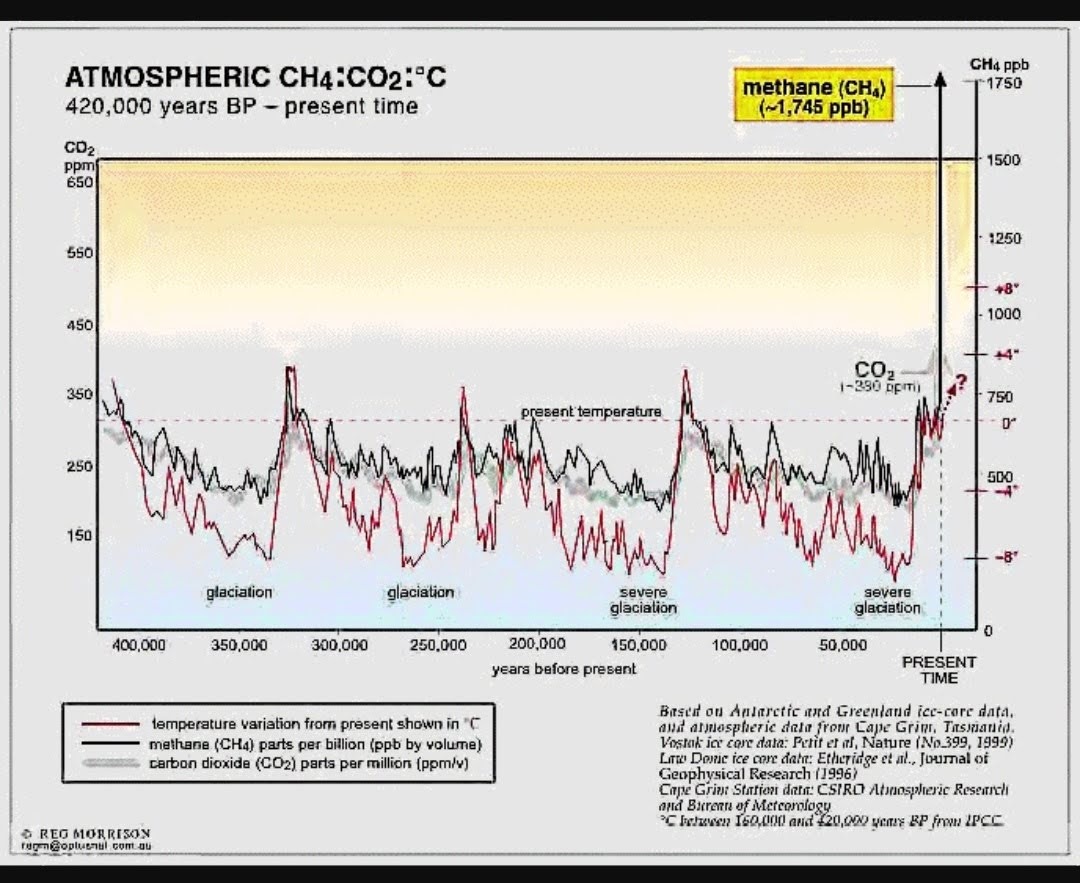 pmagn's tweet photo. @EliotJacobson @DrShepherd2013 @ForbesScience @NOAA @BMcNoldy Everything is spiking.. It has to @DrShepherd2013 

This is most certainly a mass extinction event 🔥😔 https://t.co/1MWzDxelAx