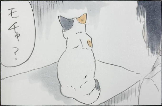 『サバカンバスピス』#サバカンバスピス #拾い猫のモチャ