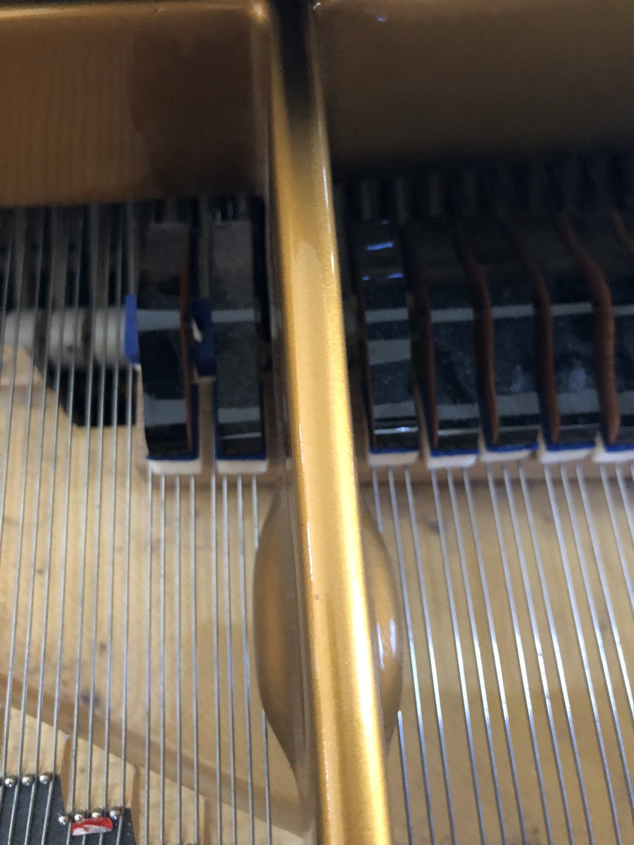 NickBorderline's tweet image. One of the treasures of #Leipzig are locally-produced #Blüthner grand pianos. 🎹 🎵So interesting to hear the sound colors from the patented Blüthner Aliquot System. It consists of an additional fourth string in the treble section which is not struck by the hammer. #Bachfest