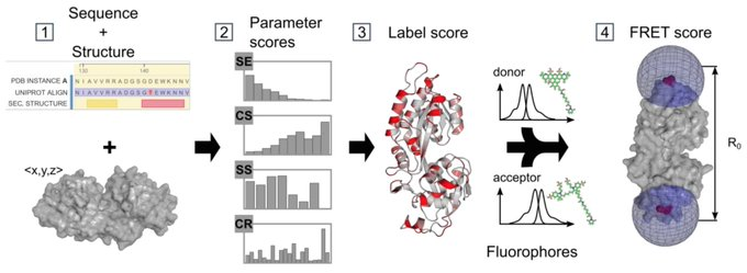 Biophysical Chemistry - Cordes Lab tweet media