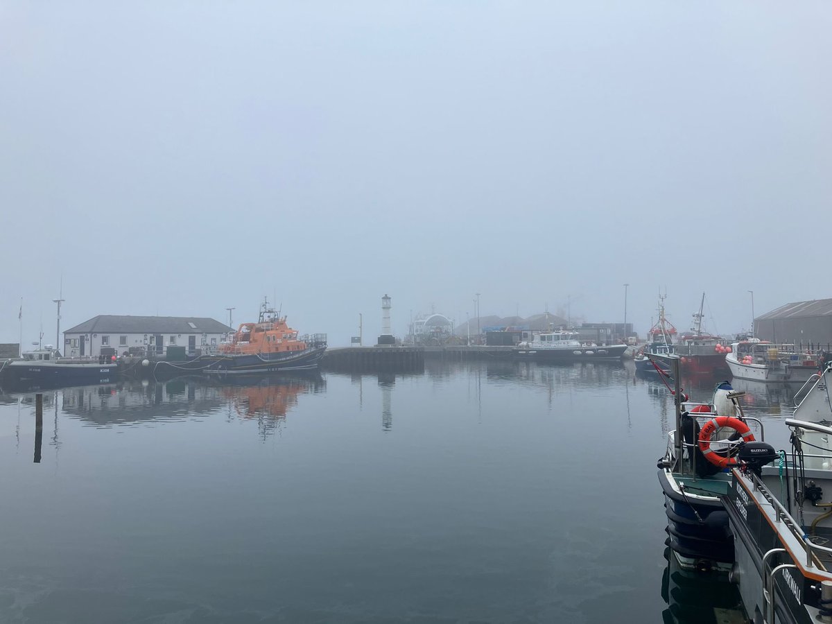 Who needs a heatwave when you can have the haar instead?! 🤷‍♀️ #orkney #beautifuleveryday