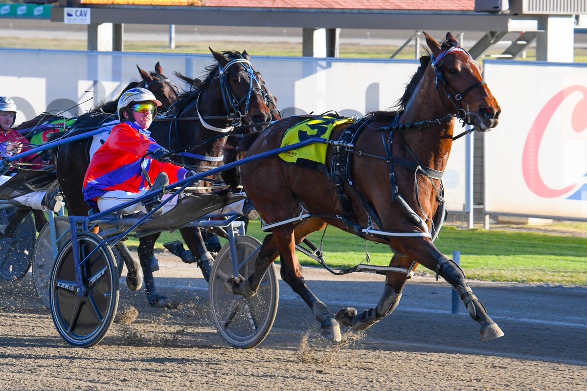 That's three for Cam!🥇🔥

Cam Hart bought up his third straight win for the day aboard Our Ultimate Ivy NZ for @jarrod_alchin, who also recorded a training race to race double. 

#ClubMenangle @HRNSW_Harness