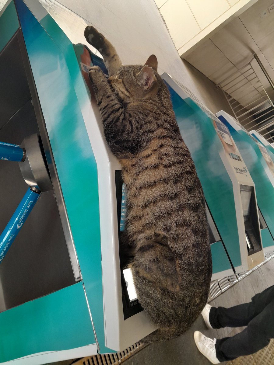 Çalışmaktan yorulup içi geçenlerde bugün😂😂