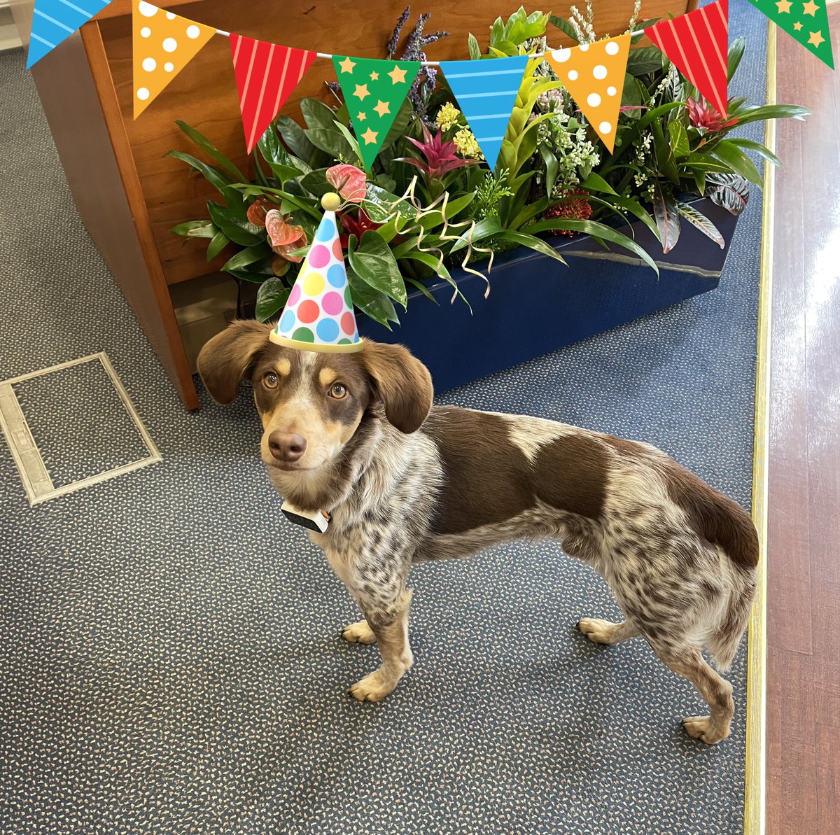 Barry Crux & Company tweet media