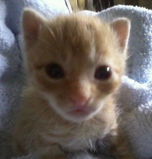 “Amor pq vc mandou smt pra todas as mulheres q eu sigo?”
Eu