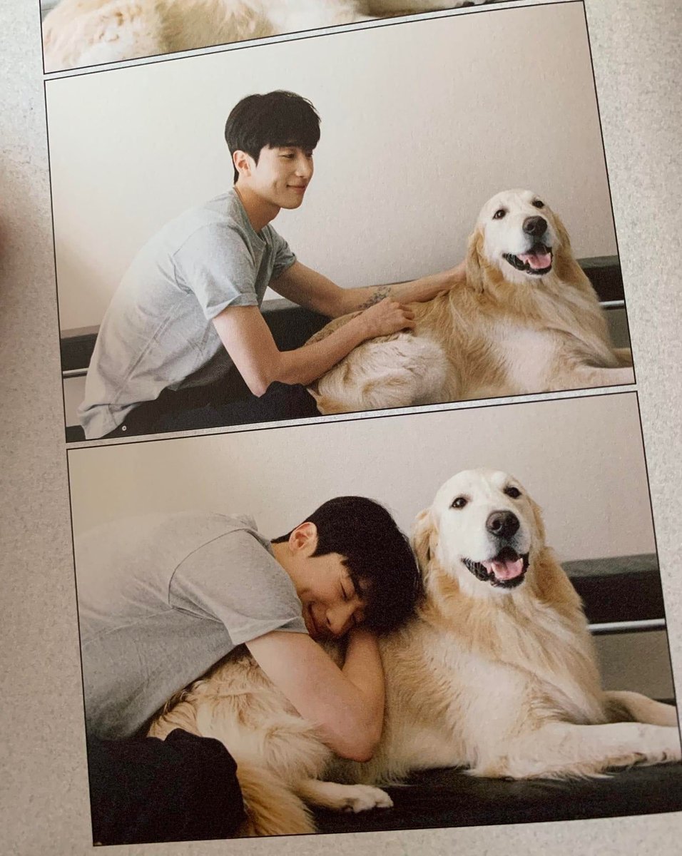 honeyhsw's tweet photo. ซ้ายก็โกลเด้น ขวาก็โกลเด้น แยกไม่ออก🐶 https://t.co/yf14MccP4B