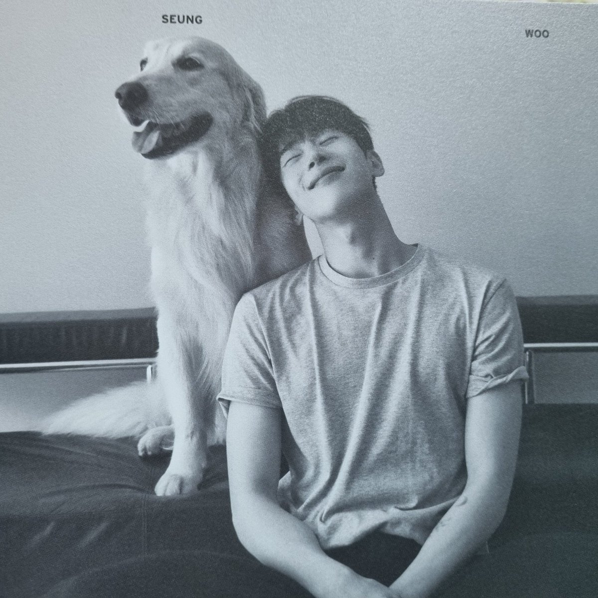 honeyhsw's tweet photo. ซ้ายก็โกลเด้น ขวาก็โกลเด้น แยกไม่ออก🐶 https://t.co/yf14MccP4B
