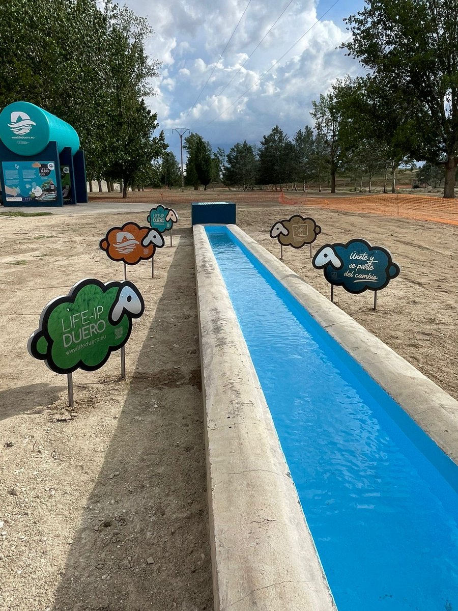 💧La <a href="/chd_duero/">Confederación Hidrográfica del Duero</a> organiza una jornada ambiental con escolares con motivo de las obras de restauración del río #Trabancos

🌱Hoy se han realizado plantaciones en la ribera a su paso por Castrejón de Trabancos con los alumnos del CEIP San Sebastián

➕info➡️bit.ly/42Cj0rB