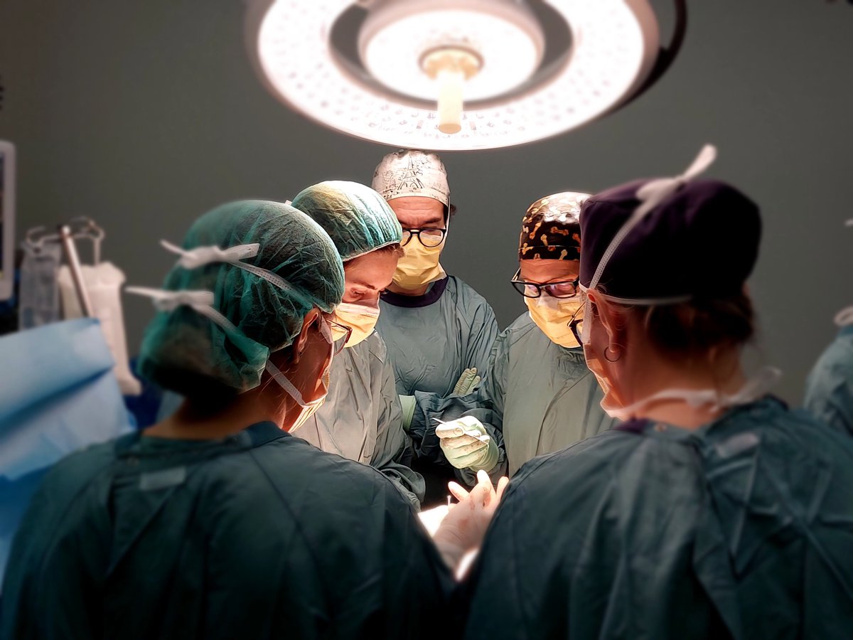 HospitalSantPau's tweet photo. #SantPau, pioner a Catalunya en la reconstrucció de la caixa toràcica amb pròtesis de titani personalitzades 🔝
Hem intervingut amb èxit 3️⃣ pacients amb osteosarcomes, gràcies al treball multidiscliplinari de Cirurgia Plàstica i @ToracicaSantPau.
➕ https://t.co/ktgrLWVbKu https://t.co/Q8BryGmOJ3