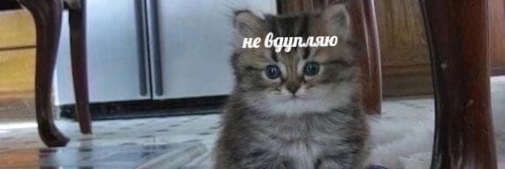 ChlorinaRu's tweet photo. @Nice__Tea я вообще не знаю куда я попала https://t.co/lSW6deWteY