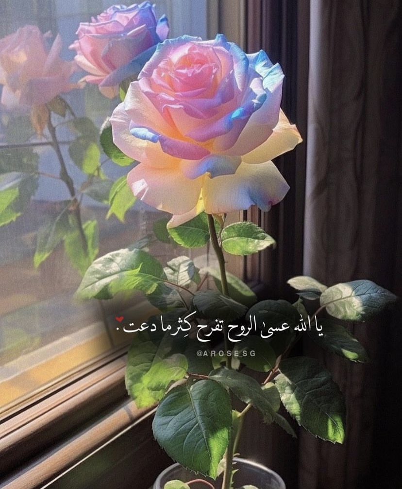 myrh3a's tweet photo. https://t.co/cK27Kpzroy