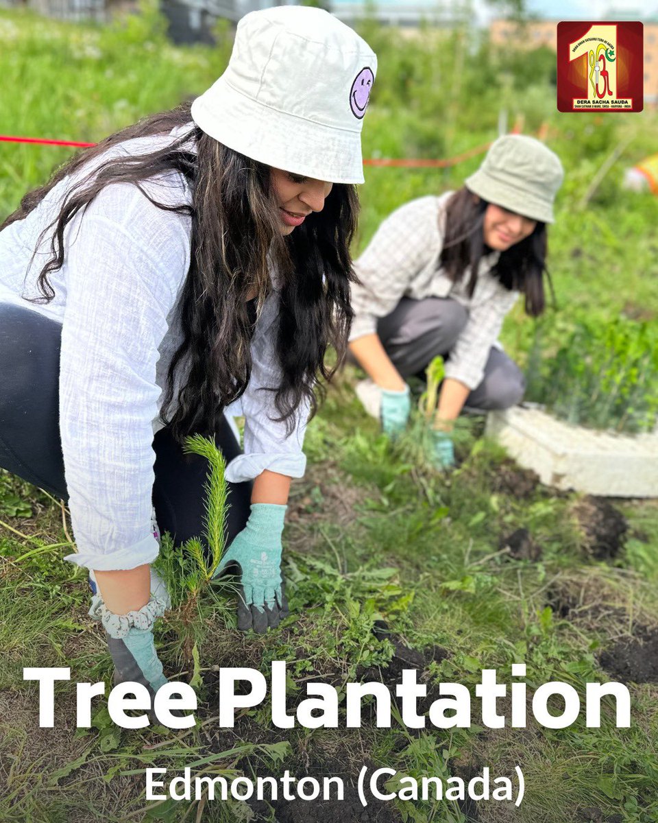 DSSNewsUpdates's tweet photo. Kudos to #DeraSachaSauda volunteers in Edmonton, Canada for taking the initiative to plant trees! 🌳 Their dedication to create a greener planet serves as an inspiration for all. Let's join them in this mission for a healthier future! #TreePlantation #ClimateAction #EcoWarriors https://t.co/NMVPYUsmOz