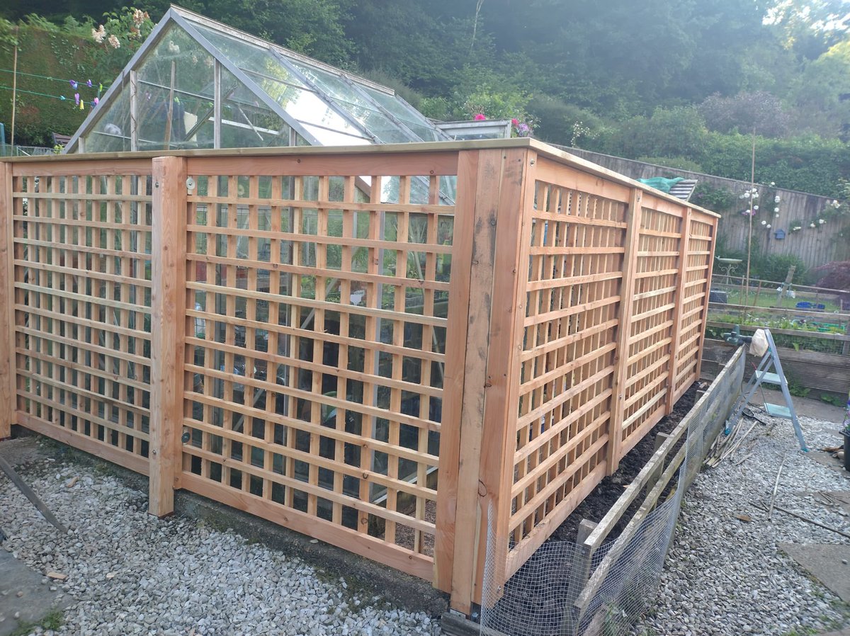 Three Atop Woodland Services tweet media