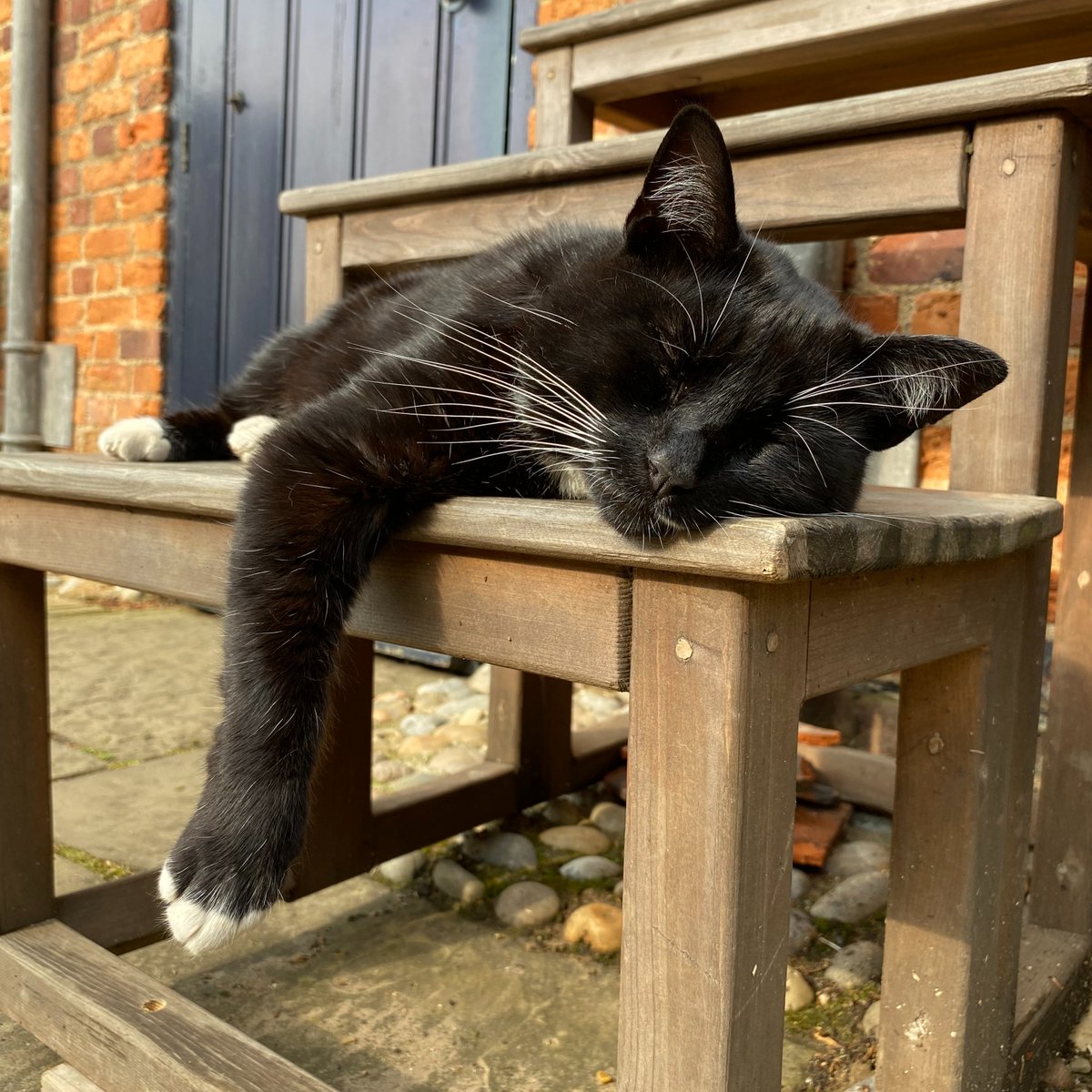 Ham House tweet media