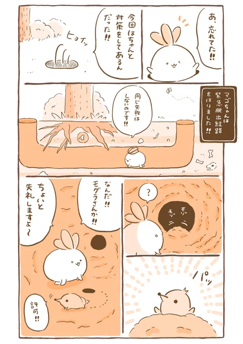 『こんにちは☀️マンドラゴラのマゴちゃんです』25