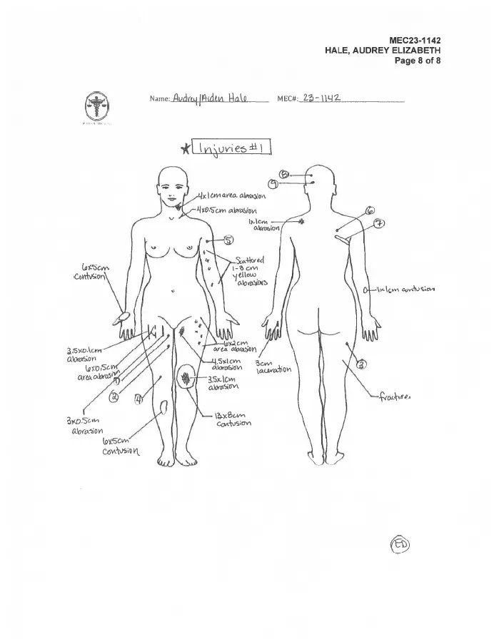 Terror Alarm tweet media