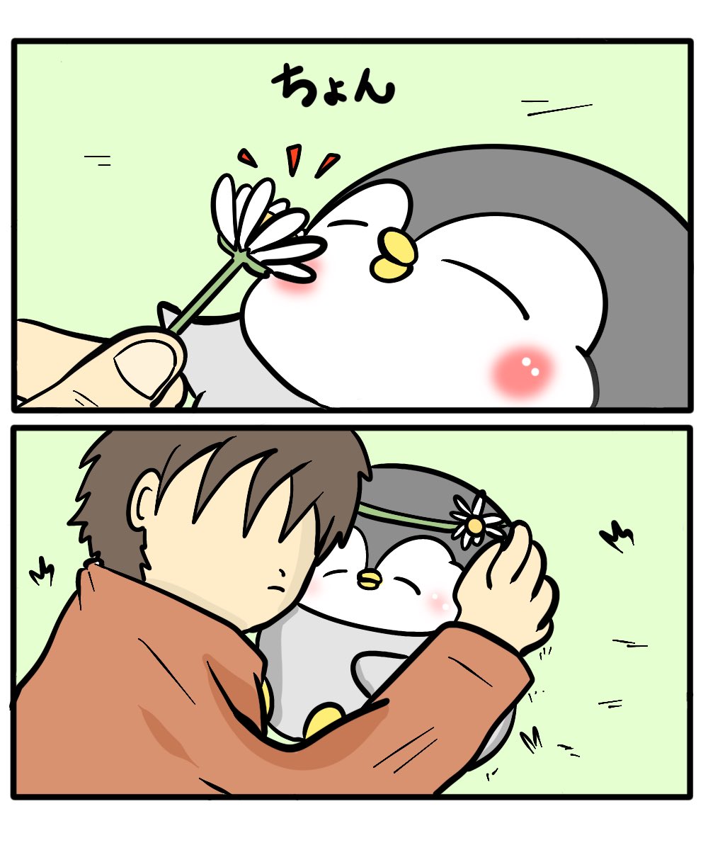 ちゃんぺんと僕 10話 「お花」