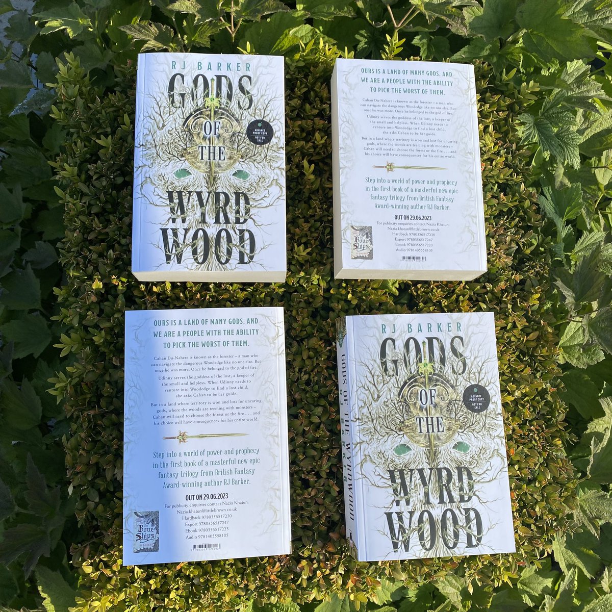 A few proof copies left for GODS OF THE WYRDWOOD on my desk, retweet by 2pm Friday with your favourite fictional forest for a chance to win

‘An experienced novelist at the top of his game - this is Avatar meets Dune, on shrooms’ Five stars ⭐️⭐️⭐️⭐️⭐️ from @SFXmagazine