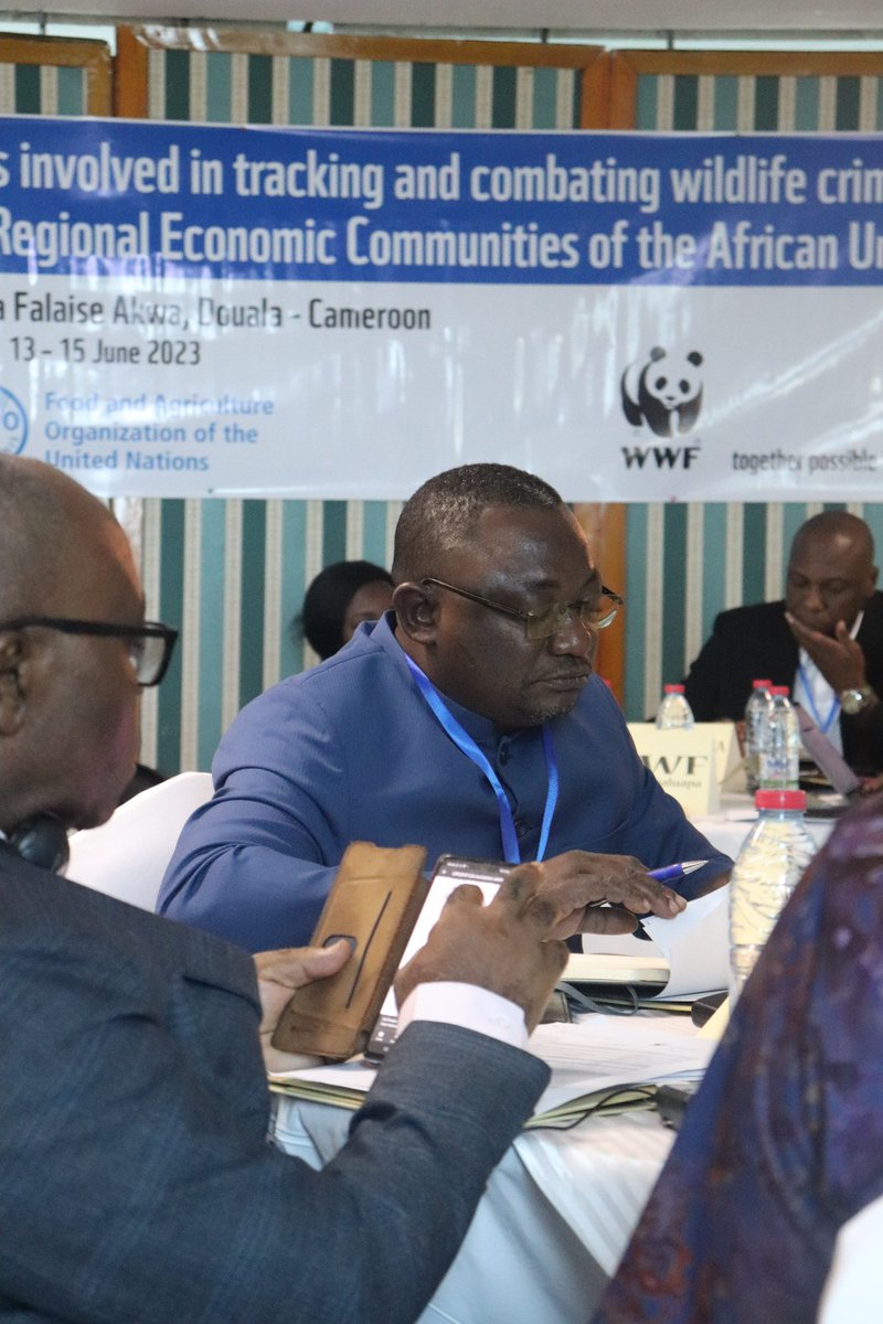 WWF_CongoBasin tweet media