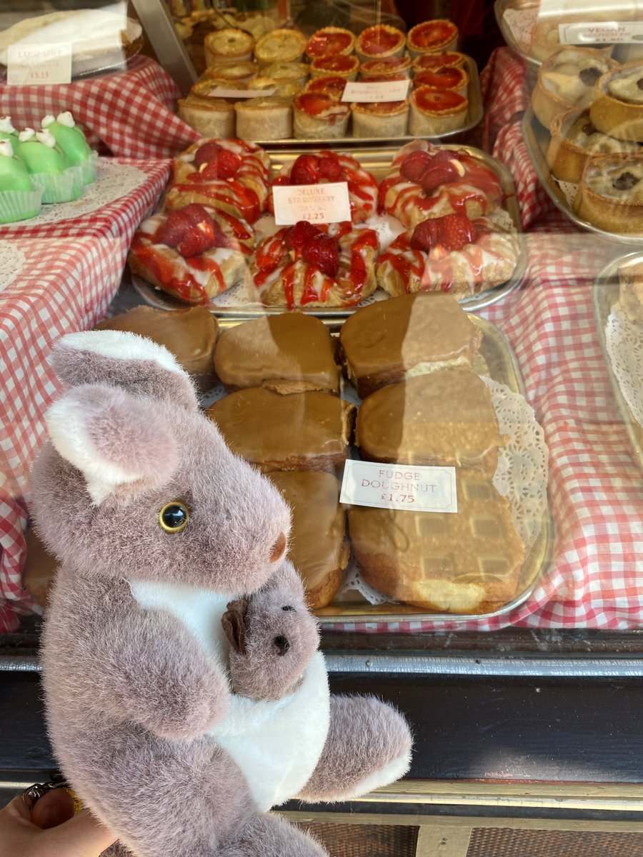 KangarooDundee's tweet photo. Out doing a collection for #studentstorage and Roo spotted @FisherDonaldson cakes in the window! Those fudge donuts are an achilles heel for our #Dundee team π€€π© https://t.co/Kgz8BL0Q8G