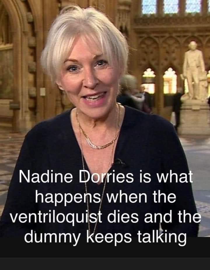 NickStevenson63's tweet photo. @edwinhayward @catherinemginn Nadine Dorries; for services to thicketery. https://t.co/wEVPL60keB