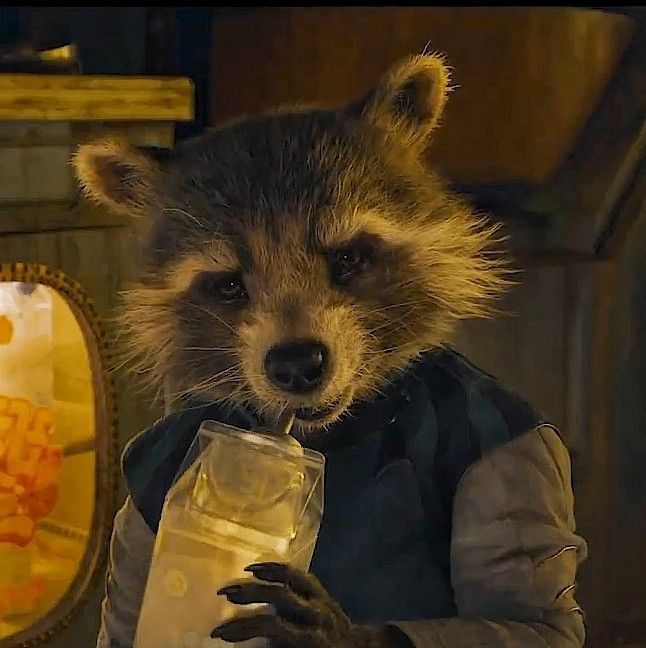 These are pictures of a man in his prime 🚀🦝❤️
#RocketRaccoon #GuardiansOfTheGalaxyVol3