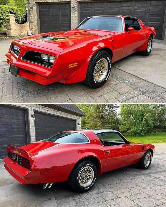 pinterest.com/pin/3462142901…
1978 Pontiac Firebird Trans Am
Throttle Extreme

':,*,:'      🧐