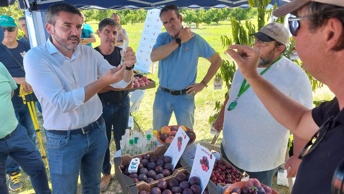 RM_Agua's tweet photo. El @imida_murcia  presenta nuevas variedades de fruta de hueso que optimizan la producción y están mejor adaptadas al cambio climático

Se han dado a conocer a agricultores y técnicos que podrán aumentar y diversificar la oferta varietal
https://t.co/Me9XJbMzMY https://t.co/fAZ2IVwkTa