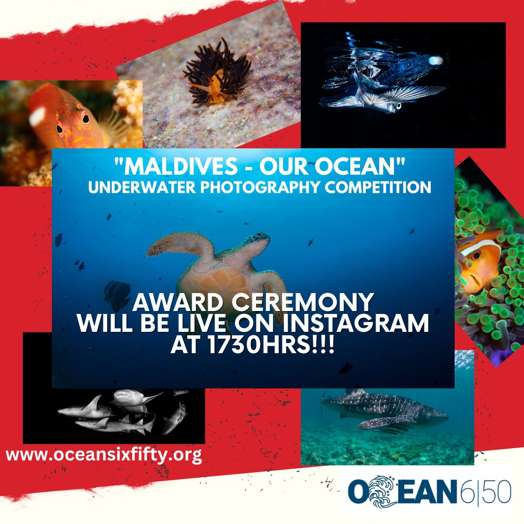 We will be LIVE on Instagram at 1730 Maldives time. 

<a href="/SwissD1VER/">Swiss D1VER Watch</a> <a href="/fourth_element/">fourth element</a>