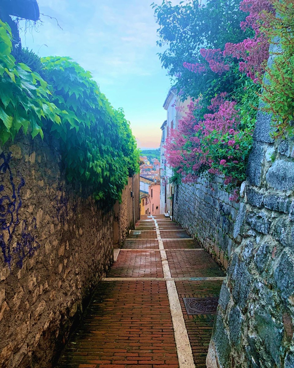 Man_Calves's tweet photo. got another job and moved to Italy update 🇮🇹🤌🏼 https://t.co/voWqSxj4ir