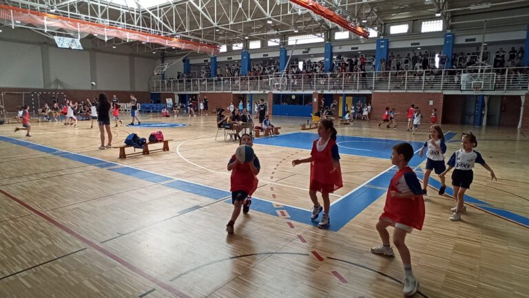 CRÓNICA DEL IX TORNEO 3C3 FNBARDOI‼
Consulta la crónica de nuestro Torneo 3C3 y la galería de imágenes en el enlace web.
➡ ardoibaloncesto.com/cronica-del-ix…
#GoBlues