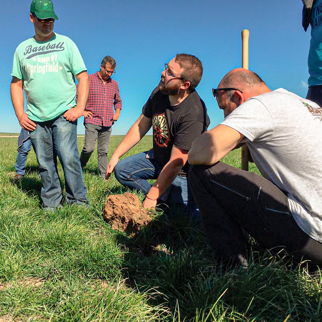 AGRACONolaboreo's tweet photo. Hoy estamos de aniversario!!🥳
2️⃣4️⃣ Años de andadura, trabajando de forma continuada en la divulgación de la Agricultura de Conservación y la regeneración de los suelos agrícolas.🌾🪱
Mucho camino por delante.
Vamos a por el cuarto de siglo 💪 https://t.co/M0jSxPAWQO