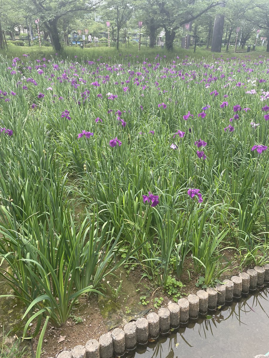 ramune_088's tweet photo. すごくいい休日でした。 https://t.co/sdUgrYGZpt
