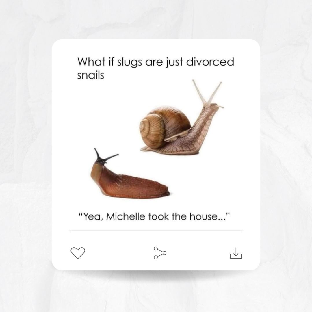 🐌💔 When the love story ends, sometimes one snail gets left with just a trail. Poor Gary, Michelle got the house. 

#Divorce #DivorceJokes #DivorceHumor #DivorcedMom #DivorcedDad #Divorced #DivorcedLife #Joke #JokeTime #DadJokes #MomJokes #Humor #Funny #FunnyMemes